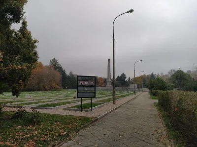 Sheta - Jeżeli ktoś chce się wybrać na spacer po cmentarz w #warszawa to zapraszam na...