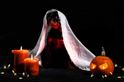 twjackalope - Kto jeszcze w halołinowym nastroju? #halloween #spooktober