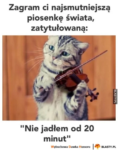 wszyscy - Zagrać wam piosenkę? #heheszki #humorobrazkowy #koty
