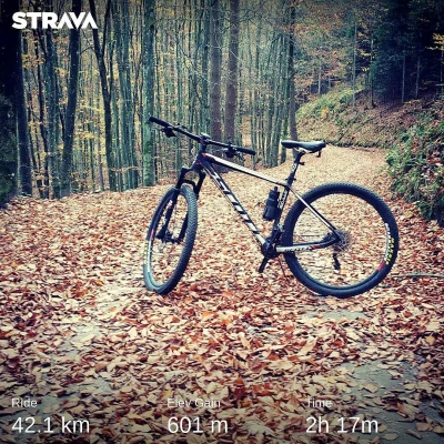 reddin - Taką jesień to ja szanuję. 

#mtb #rower #kolarstwogorskie #sport #trening