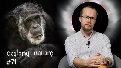 LukaszLamza - Czytamy naturę #71 | Stare szympansy jak starzy ludzie–Księżyc-obrońca–...