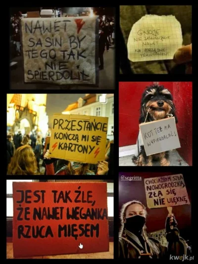 contrast - #protest #smieszneobrazki 
#protestowepasty #humorobrazkowy
