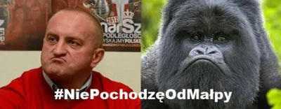 Z.....n - Jedyne co mi przyszło do głowy odnośnie porównania do małpy ( ͡° ͜ʖ ͡°)