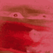 DoDoLot - Śmierdzące #p0lka reeee ヽ( ͠°෴ °)ﾉ

#stulejacontent #przegryw