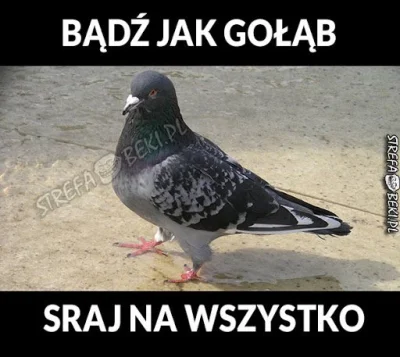 Mateusz_G - Piękny to był lot, nie zapomnę go nigdy