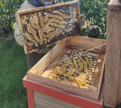 Vistallo - Przy dużym pożytku i niedopatrzeniu można do takiego stanu doprowadzić. Ni...