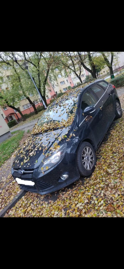 MentorPL - @KajetanKajetanowicz: Ford kosmetyków wort ( ͡° ͜ʖ ͡°)

Pod warstwą liści ...