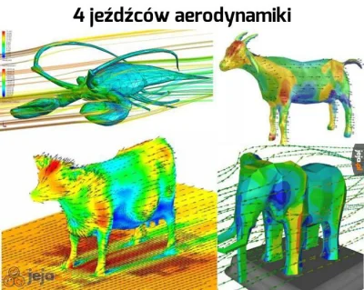 mielonkazdzika - Teraz jest moda na aerodynamike.