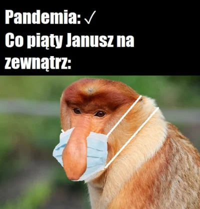 pandagata - w noszeniu maseczek w sposób pokazany na pic rel. najśmieszniejsze jest t...