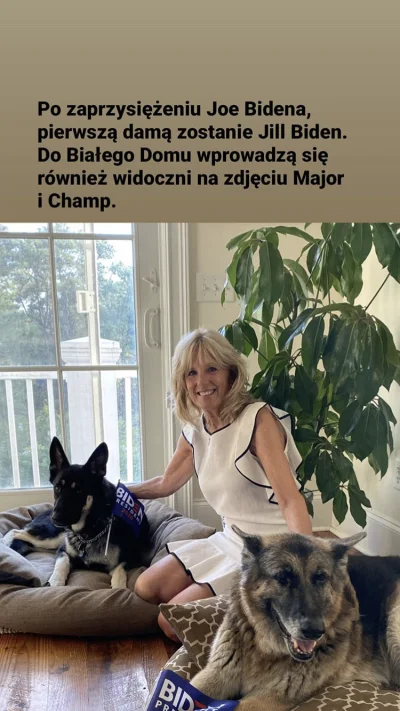 Malpigaj - O, w końcu wyprowadzę się stąd naprawdę! - słowa dotrzymał.


#kononowi...