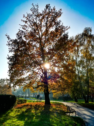 Speleo84 - Taka tam #jesien w #krakow #fotografia #przyroda