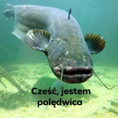 pszemgo - @grabaz: Ja!