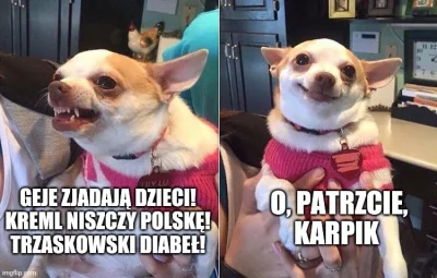 jaroty - Dzisiejsze wydanie na jednym obrazku ( ͡° ͜ʖ ͡°)

#tvpis #heheszki