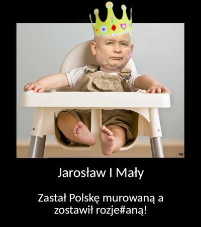 krulkartonu - #pis #heheszki #polityka #4konerwy #neuropa #bekazpisu