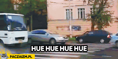 agiller - hue hue hue 
#heheszki #smiesznygif