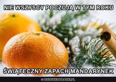 Jogi4 - #heheszki #humorobrazkowy #takaprawda #koronawirus #swieta