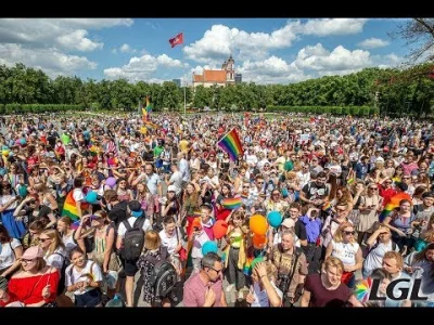 jaunas - Rzekomy zakaz propagowania LGBT na Litwie wygląda tak. Rok 2019