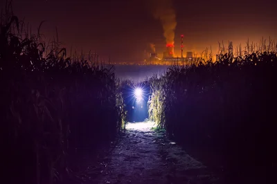 snejku-plisken - Pole kukurydzy, atomówka w tle, film klasy B...
Taki oto pastisz wy...