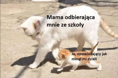 Ringkobing - Jak wam mija dzień kochani uwu :3