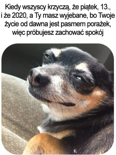 brakloginuf - Podsumowania piatku 13
#przegryw #zycie #heheszki