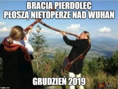 Antybristler - @fozolif: to nie przypadek ziom