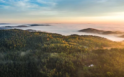 rudeiczarne - @rudeiczarne: Halo Mireczki i Mirabelki!

Przybywamy do Was z kolejna...