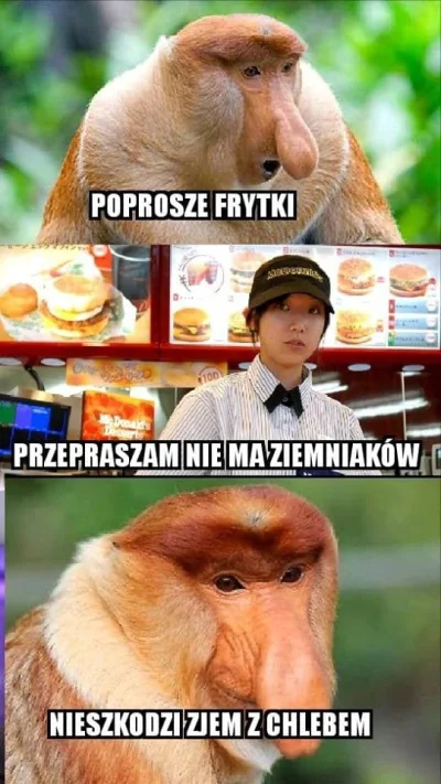 pablonzo - XDDD
#polak #nosacz #heheszki