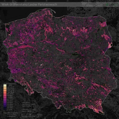 angela09 - Na żółto nagromadzenie drzew starszych niż 140 lat. Zaskoczenie?


#fee...