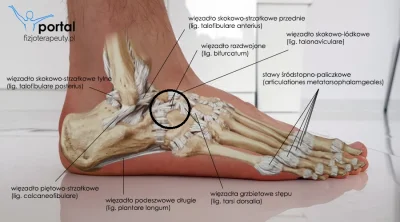 bartosz325 - #fizjoterapia #trenujzwykopem #pomocy

Wczoraj kopałem sobie worek tre...