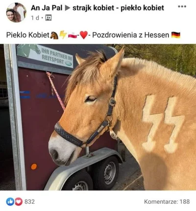 varmiok - Nazistowski koń
#bekaztwitterowychjulek #koniary #bekazlewactwa