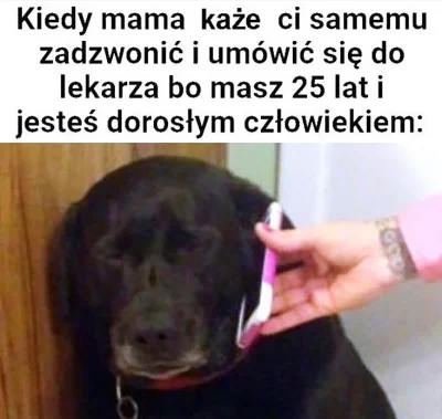 Nielogiczny_login - Mam wrażenie, że życie powyżej 24 r. ż. polega na ciągłym dzwonie...