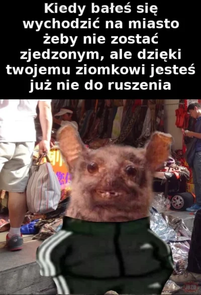 nowekontonowaja - @Prokurator_Bluewaffles: jesio to XD