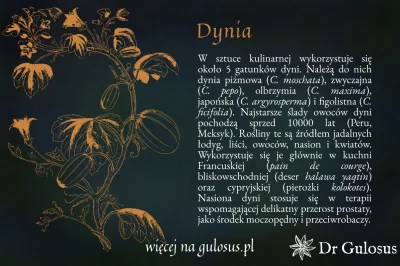 Gulosus - Dynia
Dynia jaka jest każdy widzi...
Ceniona przez smakoszy, od kilkunast...