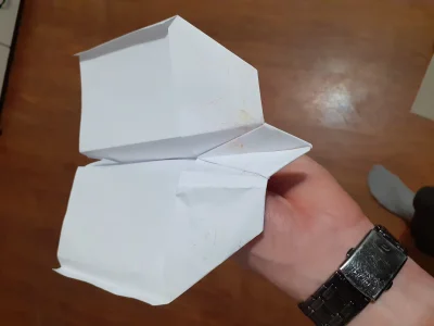 ramzes44 - Takiego se samolota zrobilem 
#diy #origami #gimbynieznajo