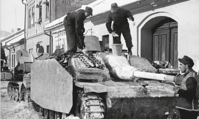 royal_flush - StuG III Ausf. G z Gebirgs-Panzerjäger-Abteilung 95 podczas działań na ...