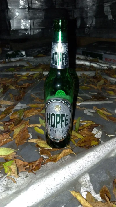ArcyPrzegryw - Niczym bej na dworze w nocy...
#pijzwykopem #piwo #alkohol #alkoholiz...