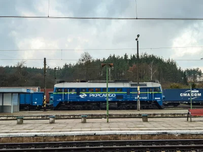 SebaD86 - Gagarek ST44-1252 manewruje po stacji w Terespolu Pomorskim po przeprowadze...
