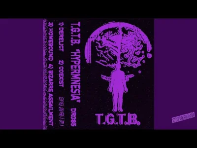 Niepogadam - T.G.T.B. - Hypermnesia
Detriti Records

#darkwave 
#synthwave