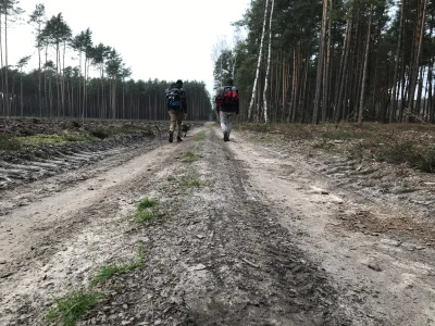 PlywajacyHolender - Leć i baw się dobrze! Weź psiaka jeśli masz możliwość to zawsze b...