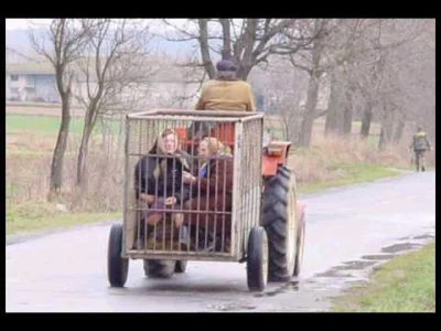 Kismeth - PIS OBIECOŁ, MY UWIERZYLI, ZAGŁOSOWALI A TERAZ NI MOMY DUTKÓW...

XD

T...