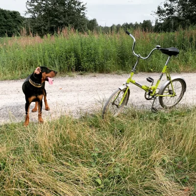 skogspokelse - @dzikiknur: Jaki złom?! Mój do tej pory jeździ! Najlepszy rower :)