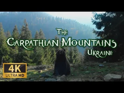 faramka - Chcę tam 乁(♥ ʖ̯♥)ㄏ

#karpatyukrainskie #gory #ukraina