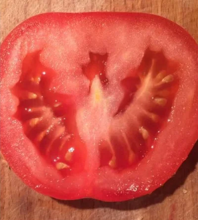 leehy - kazdy patriota wie jak wyglada prawdziwy pomidor