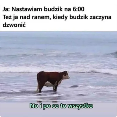 pesotto - To już za 10 minut Mireczki (╯︵╰,)