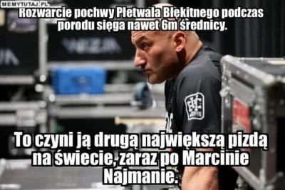 Reginald911 - Czytam, oglądam i próbuje analizować czy Najman naprawdę jest taki głup...