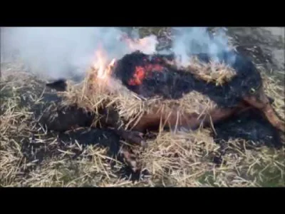 wiecznie_zajety - Kśiek już jest palony na chruście, jak Rzymianie...
(filmik z YT p...