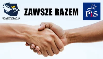 CzajnikZniszczenia - @pacjent_0: Szury już wiedzą, że połączenie się z PiSem to dla n...