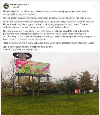 CzasNaPoznan - Tymczasem na Piątkowie na miejskiej działce drzewa spontanicznie obniż...