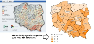 text - Ryzyko zgonów jest głównie dla osób starszych. Gdzie spotykają się osoby stars...