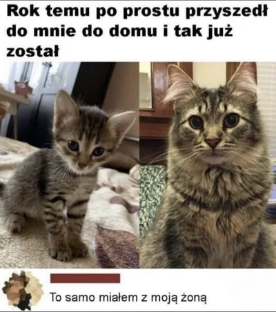 xoxo_kk94 - #heheszki #humorobrazkowy #koty #kitku #niebieskiepaski #rozowepaski
